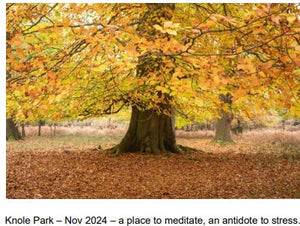 Sevenoaks Social Group - Newsletters