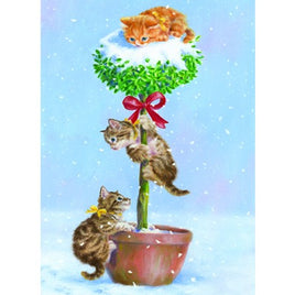 Christmas Card: Playful Kittens